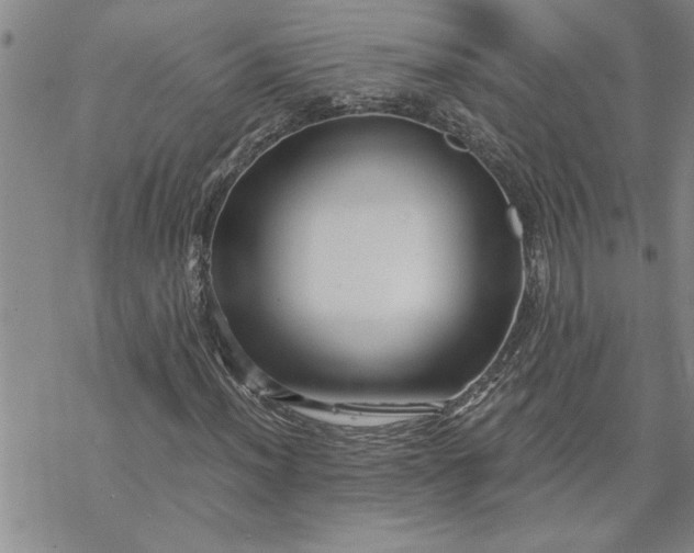 X0000069831012200606021331