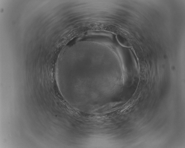 X0000069831013200606021331