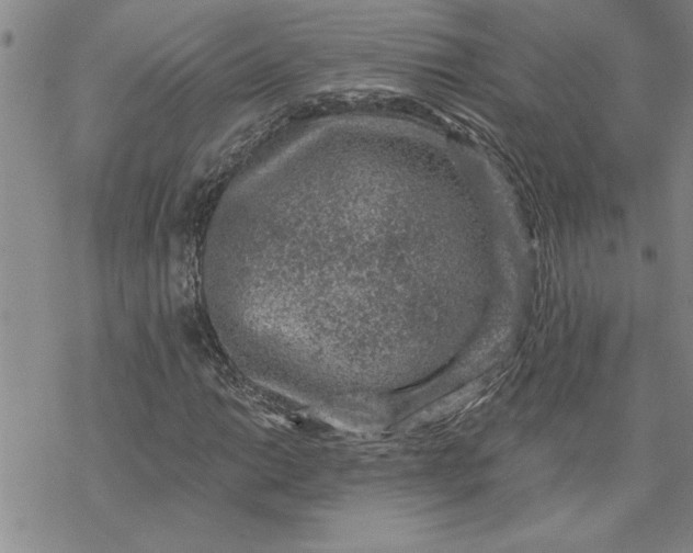 X0000069831014200606021331