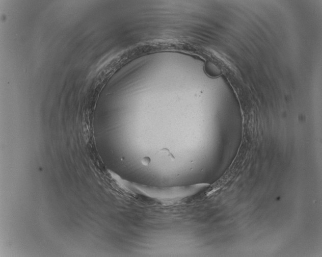 X0000069831015200606021331