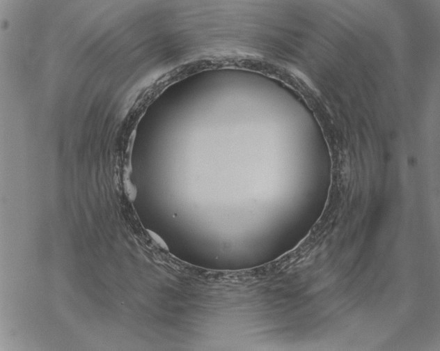 X0000069831016200606021331