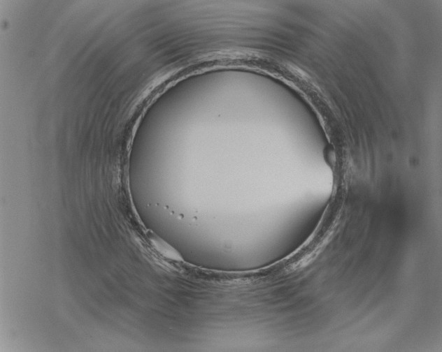 X0000069831017200606021331