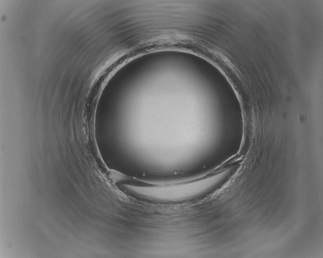 X0000069831018200606021331