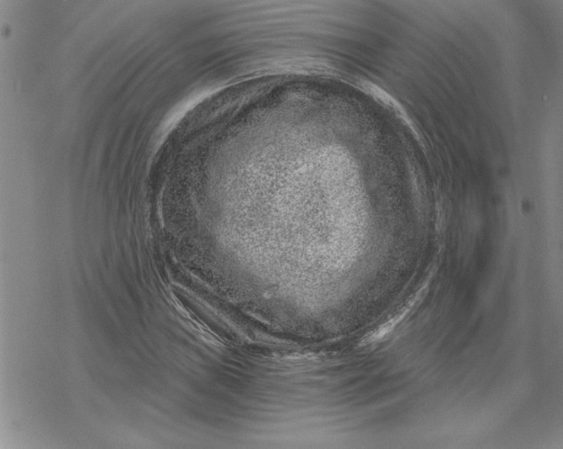 X0000069831019200606021331