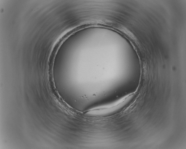 X0000069831020200606021331