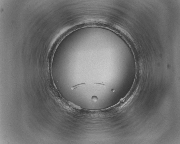 X0000069831021200606021331