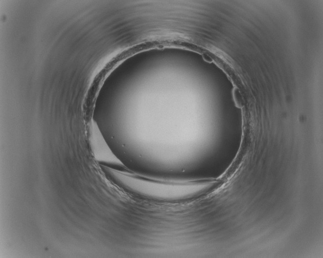 X0000069831022200606021331