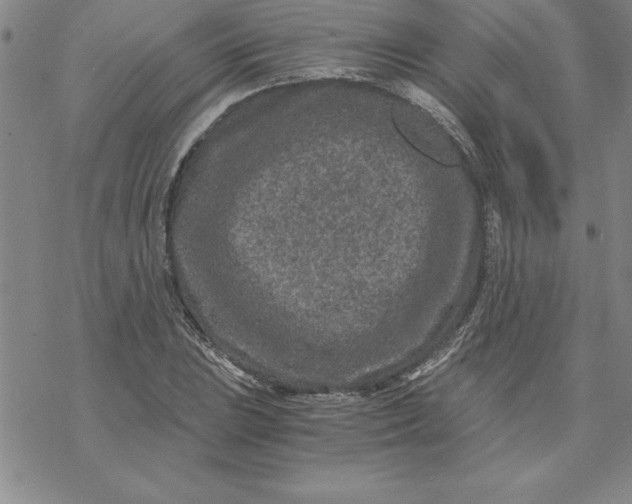 X0000069831023200606021331