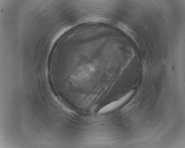 X0000069831024200606021331