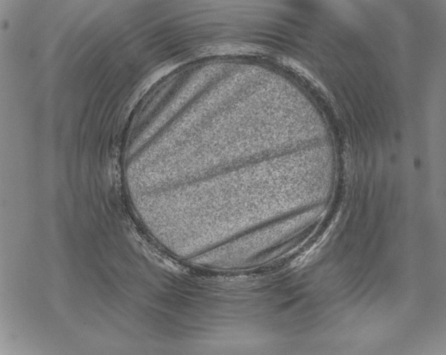 X0000069831025200606021331