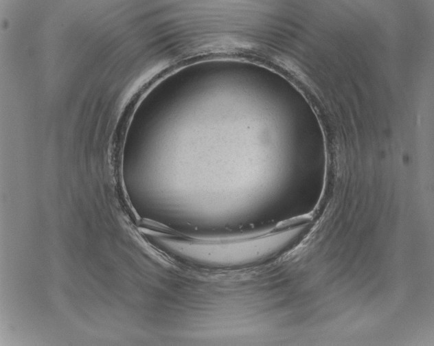 X0000069831026200606021331