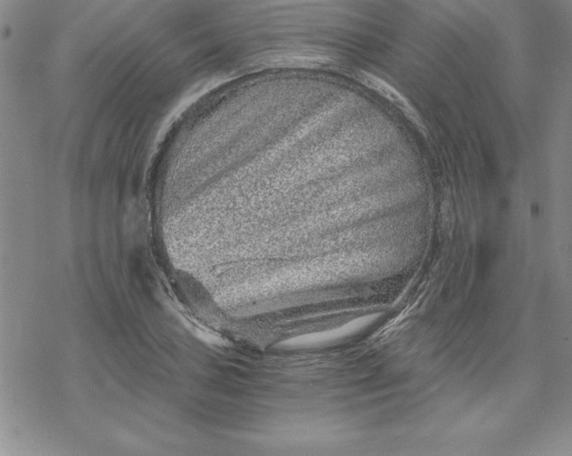 X0000069831027200606021331