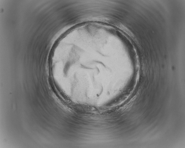 X0000069831028200606021331