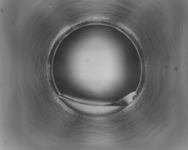 X0000069831029200606021331