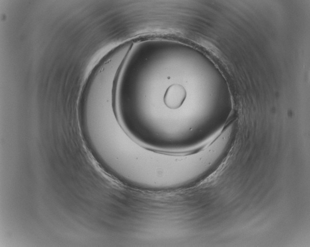 X0000069831030200606021331