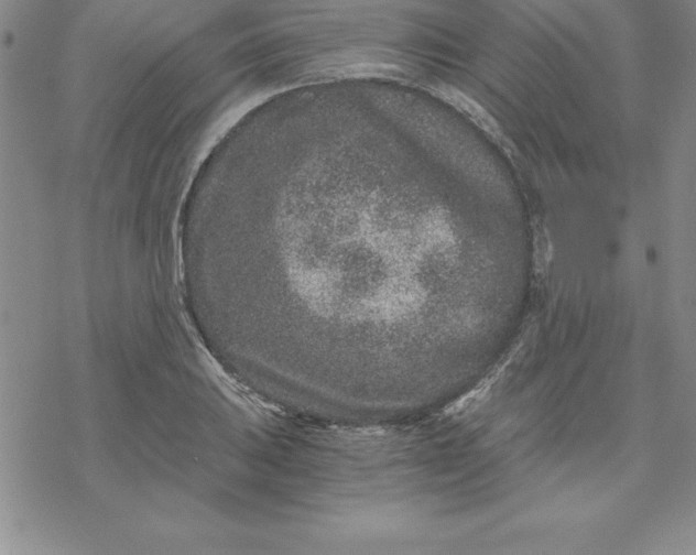 X0000069831031200606021331