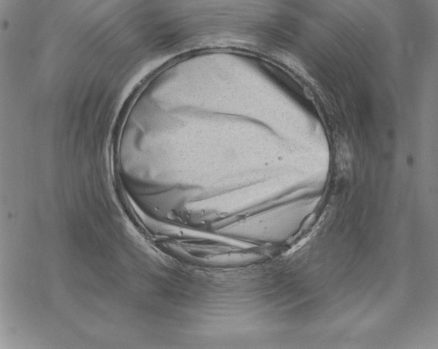 X0000069831032200606021331