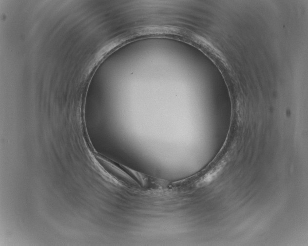 X0000069831033200606021331