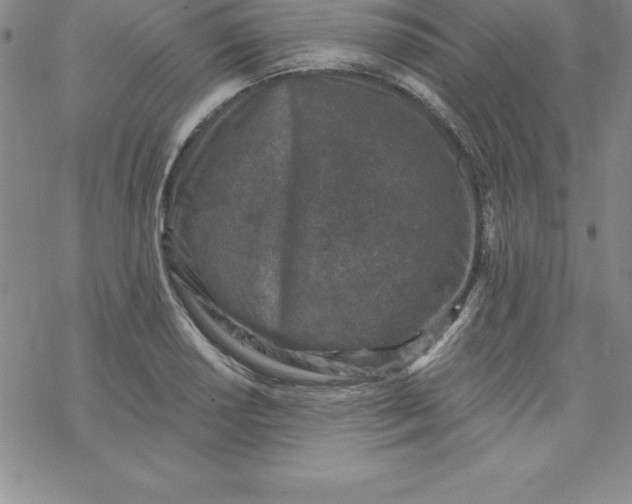 X0000069831034200606021331