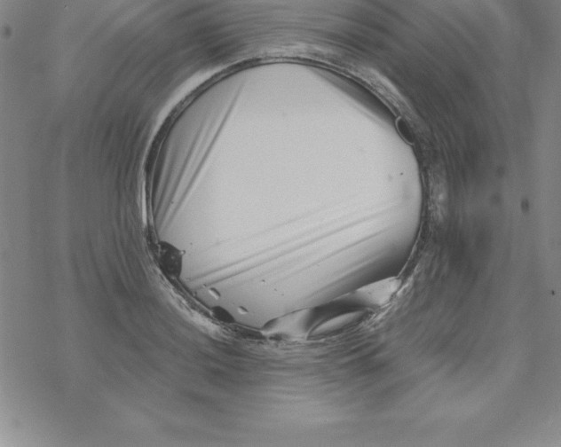 X0000069831036200606021331