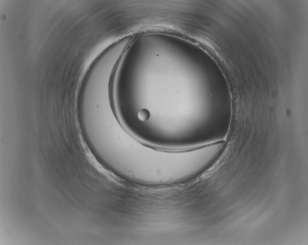 X0000069831038200606021331