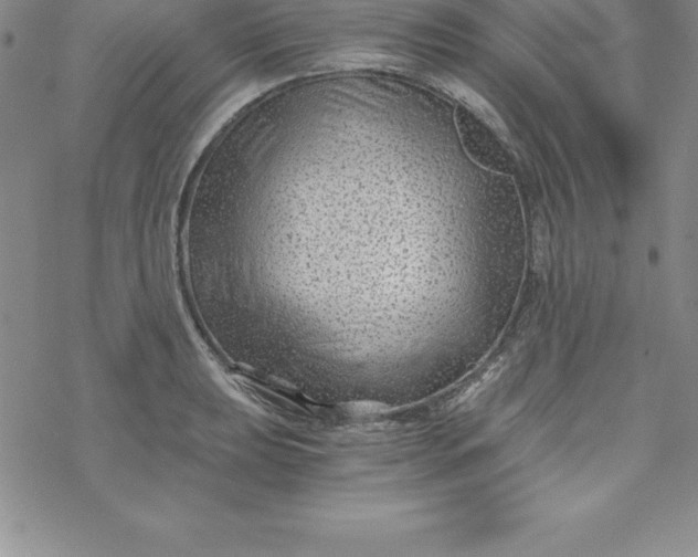 X0000069831039200606021331