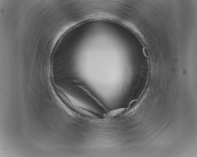 X0000069831040200606021331