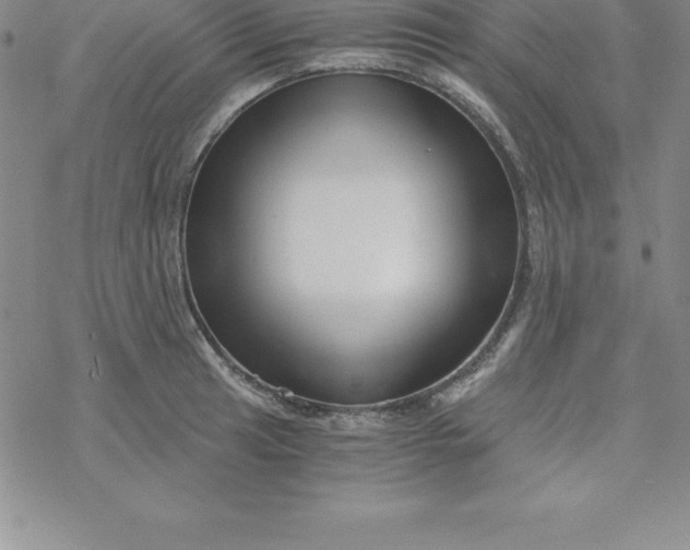 X0000069831041200606021331