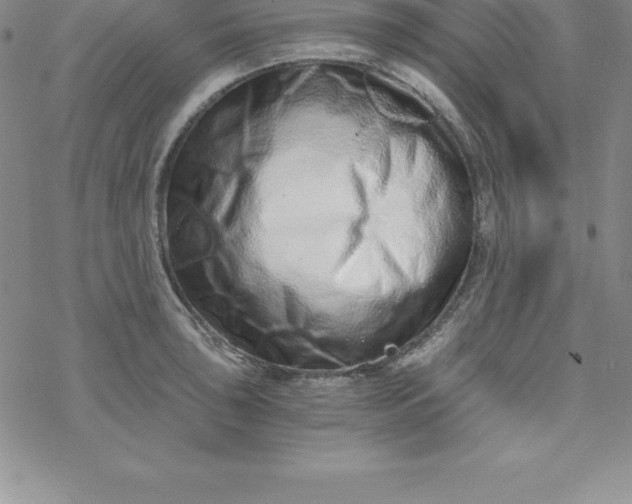 X0000069831043200606021331