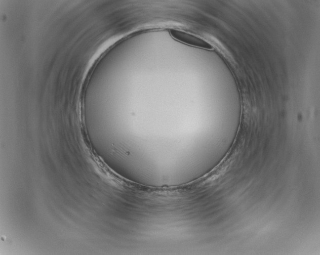 X0000069831044200606021331