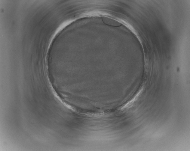 X0000069831045200606021331