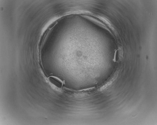 X0000069831046200606021331