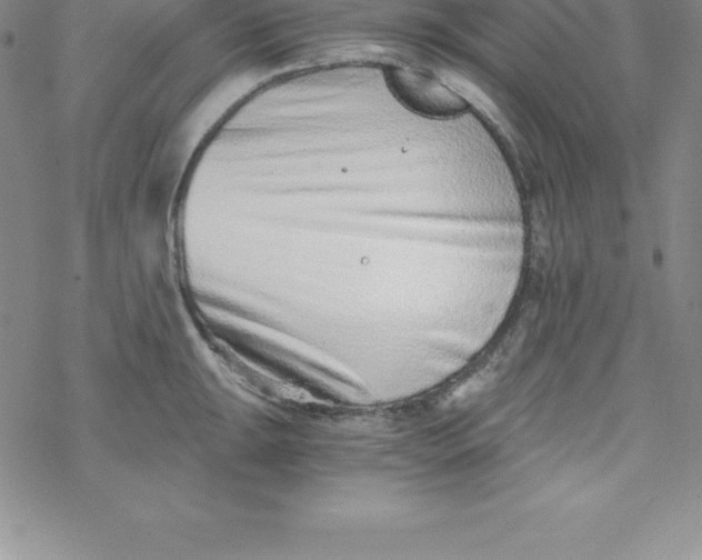 X0000069831047200606021331