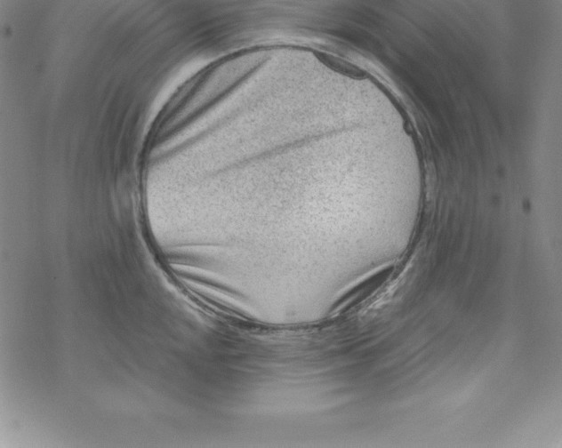 X0000069831048200606021331