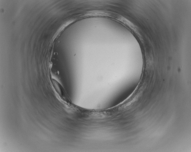 X0000069831049200606021331