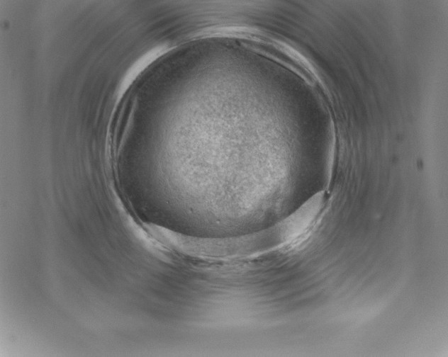 X0000069831050200606021331