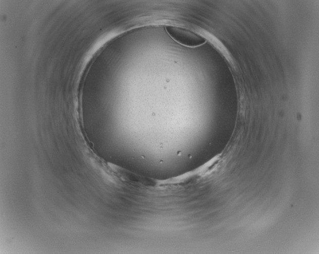 X0000069831051200606021331