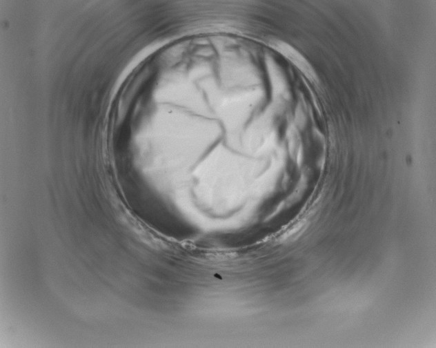 X0000069831052200606021331