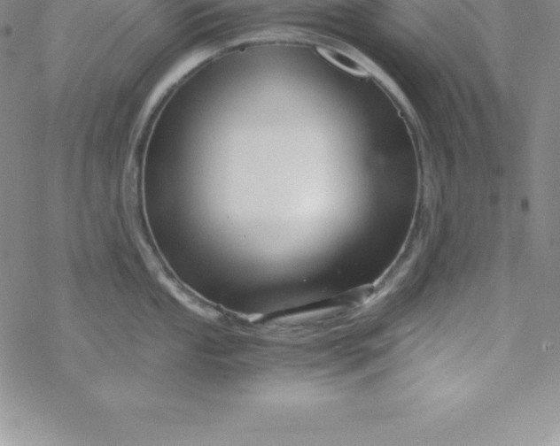 X0000069831053200606021331