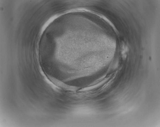 X0000069831054200606021332