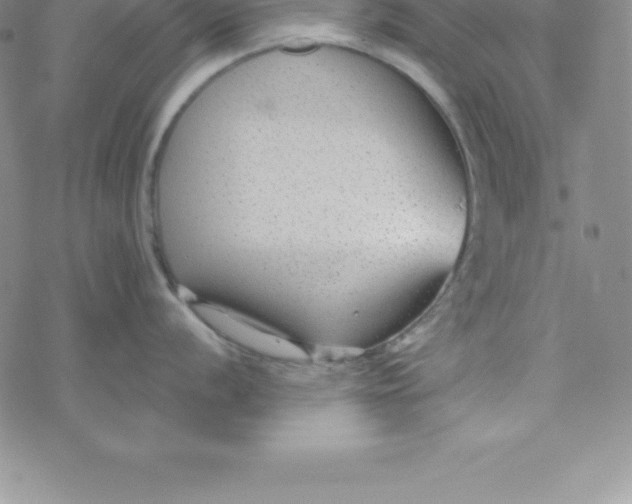 X0000069831056200606021332