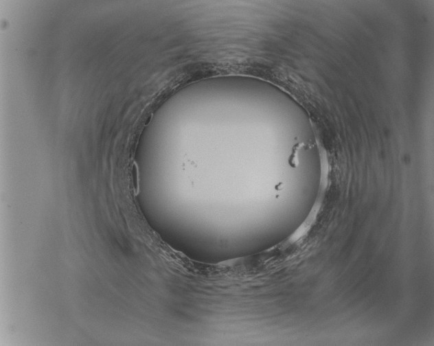 X0000069831057200606021331