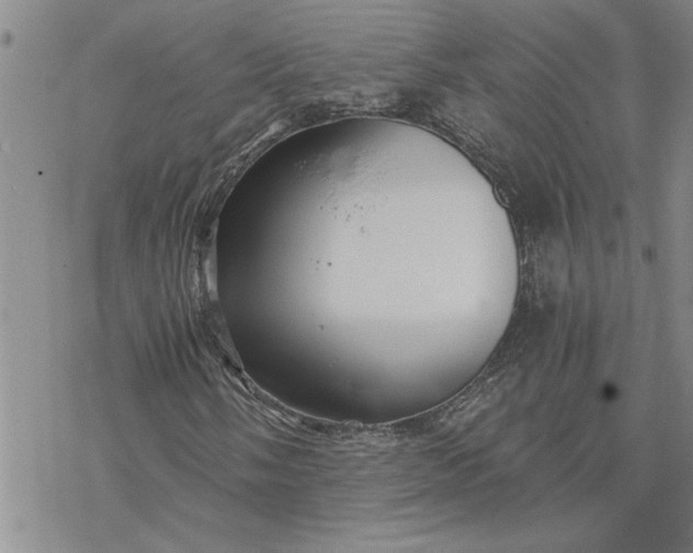 X0000069831058200606021331