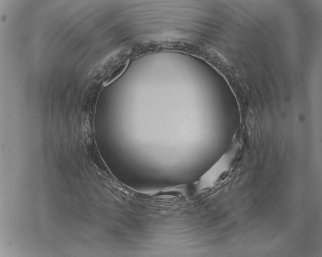 X0000069831062200606021331