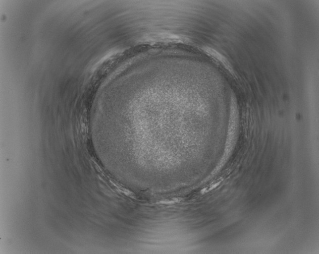 X0000069831063200606021331