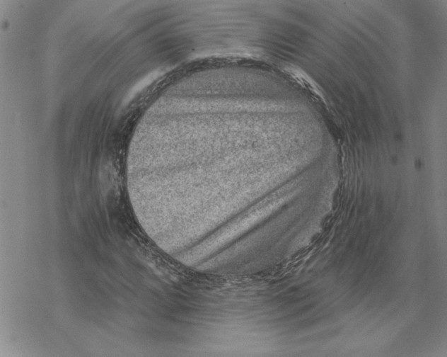 X0000069831064200606021331