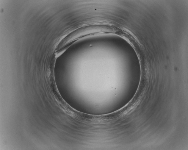 X0000069831065200606021331