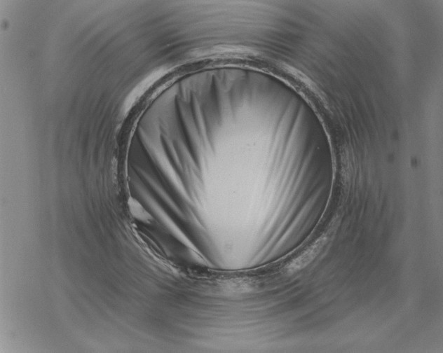 X0000069831066200606021331