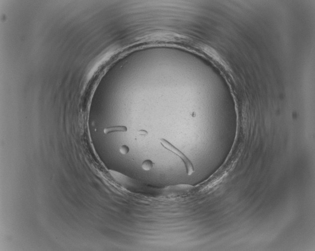 X0000069831067200606021331