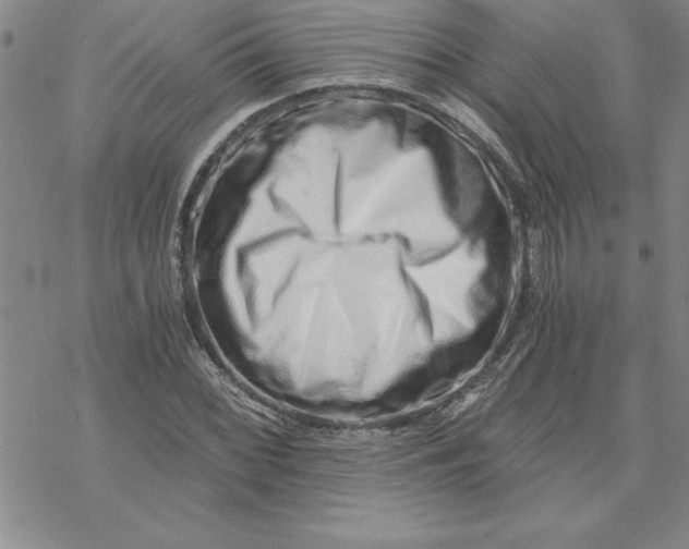 X0000069831068200606021331